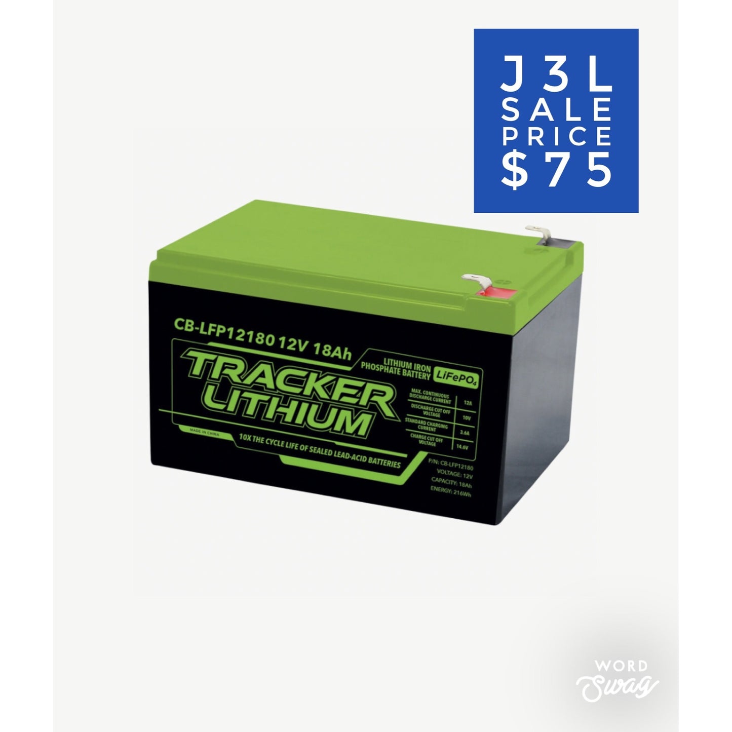 12V Lithium Iron Phosphate Accessory Battery